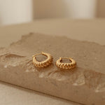 Classic Twisto Earring - NOV ACCESSORIES