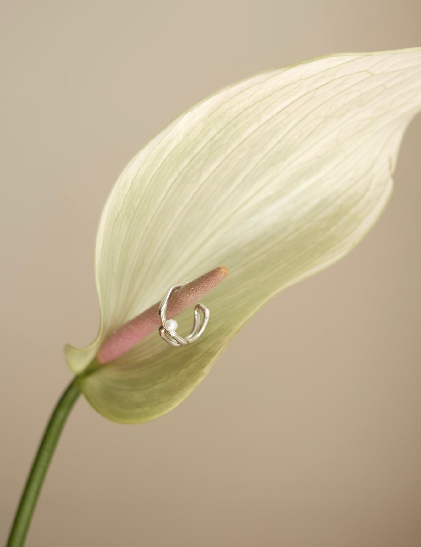 S925 Double Line Pearl Ring - NOV ACCESSORIES