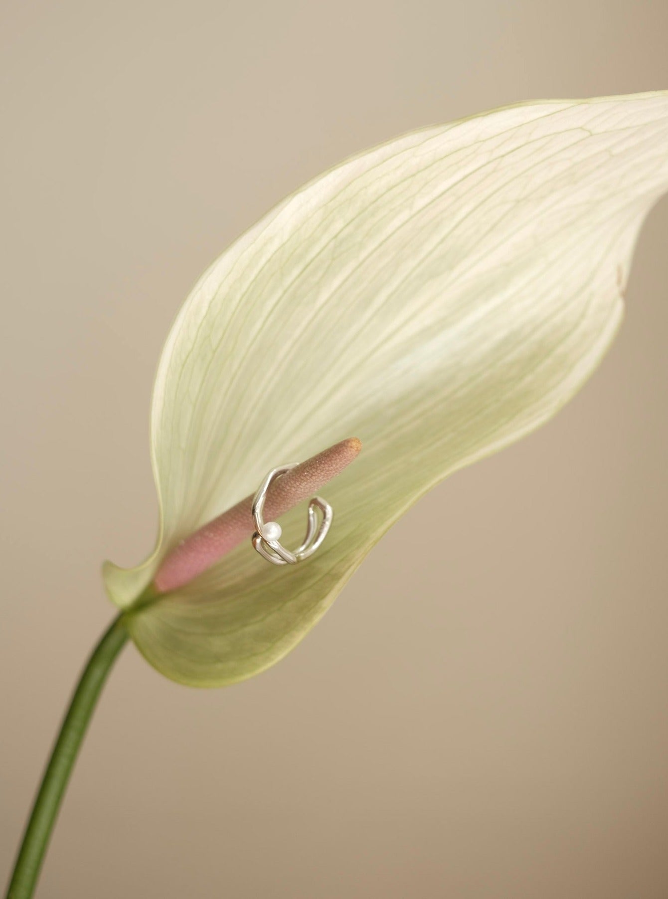 S925 Double Line Pearl Ring - NOV ACCESSORIES